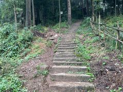 -青城山