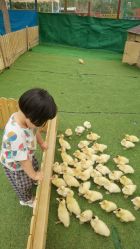 -萌宠亲子动物乐园(槐房万达店)