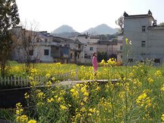 -新安江山水画廊风景区