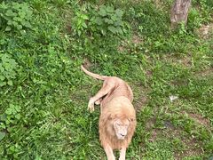 -石家庄市动物园