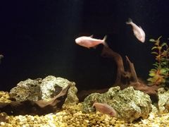 -暹罗海洋世界