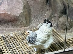 -苏州海洋馆