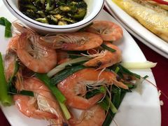 盐水白灼虾-蛇口康乐快餐鱼仔档(翠苑小区店)