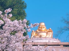 -苏州上方山国家森林公园