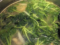 -烹然四季椰子鸡火锅(姚家园万象汇店)