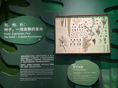 -厦门诚毅自然探索馆