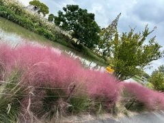 -嘉北郊野公园