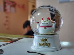 -猫音日语留学培训