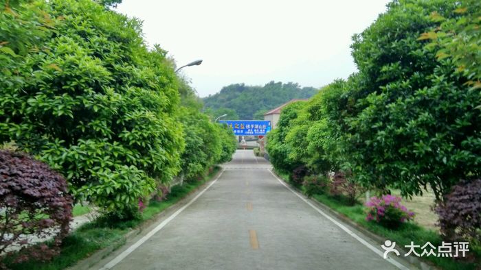 佛手湖山庄图片