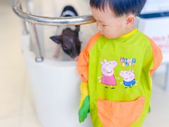 -怪兽屋·羊驼·猫咖·狗咖(俊华广场店)