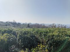 -南京市江宁方山