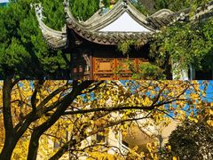 -南京中国近代史遗址博物馆(南京总统府)