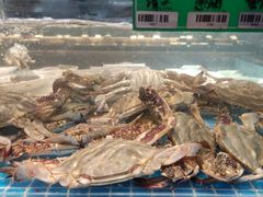 -田园居·佳宴(桑田路店)