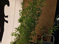 -新紫霞养生·影院足道·SPA(金山区店)