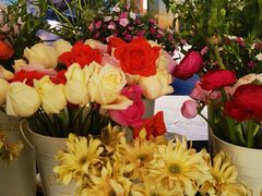 -天津波士信达奔驰4S店(卫津南路店)