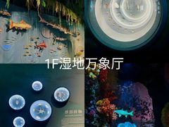-中国湿地博物馆