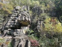 -梭布垭石林景区