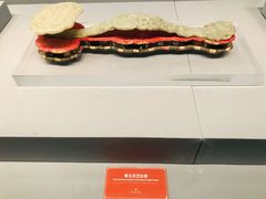 -青岛市博物馆