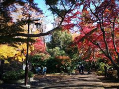 -井之头恩赐公园