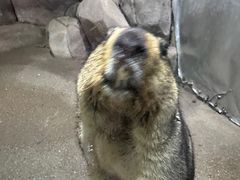 -苏州海洋馆