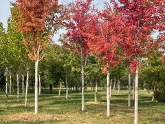 -瀛海足球主题公园