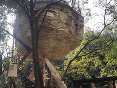 -天门沟九州驿站树上汤泉