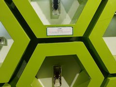 -萌宠奇缘(荣鼎店)