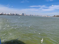 -汕头市游泳跳水馆