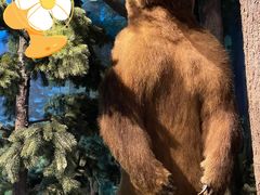 -陕西自然博物馆