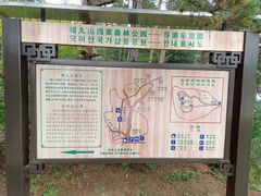 -帽儿山国家森林公园