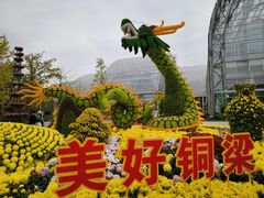 -南山植物园