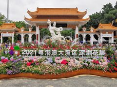 -深圳仙湖植物园