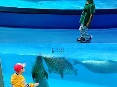 -泉城欧乐堡海洋极地世界
