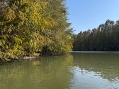 -上海海湾国家森林公园