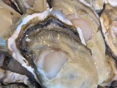 -今鲜源大酒店·中华餐饮名店(新湛路店)