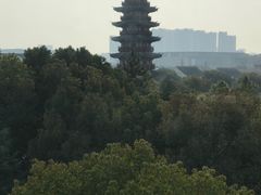 -苏州吴宫泛太平洋酒店