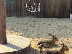 -茅山东方盐湖城景区