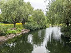 -上海滨江森林公园