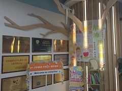 -小荧星艺校(大宁分校)
