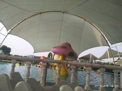 -百万葵园