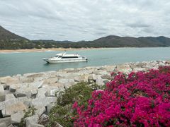 -三亚南山文化旅游区