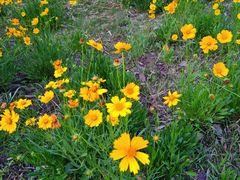 -上海市保健医疗中心