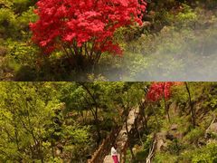 -西泰山风景区