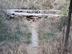 -龙口南山旅游景区