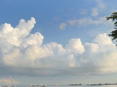 -珍宝海鲜(东海岸海鲜中心)