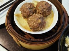 香菜山药牛肉丸-添运来(茶园奥园广场店)