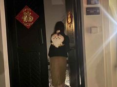 -三亚亚龙湾雅高铂尔曼别墅度假酒店