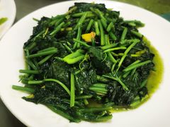 清炒苕尖-冰镇当归鸭