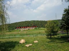 -沈阳森林动物园