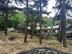 -阳台山自然风景区